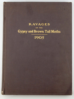 Ravages of the Gypsy and Brown Tail Moths, by In House  